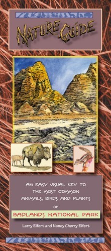 Badlands Nature Guide