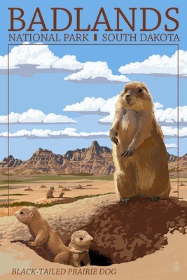 Vintage Prairie Dog Items