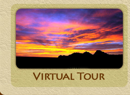 Virtual Tours