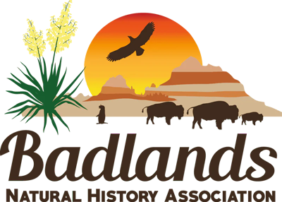 Arrowhead Patch  Badlands Natural History Association